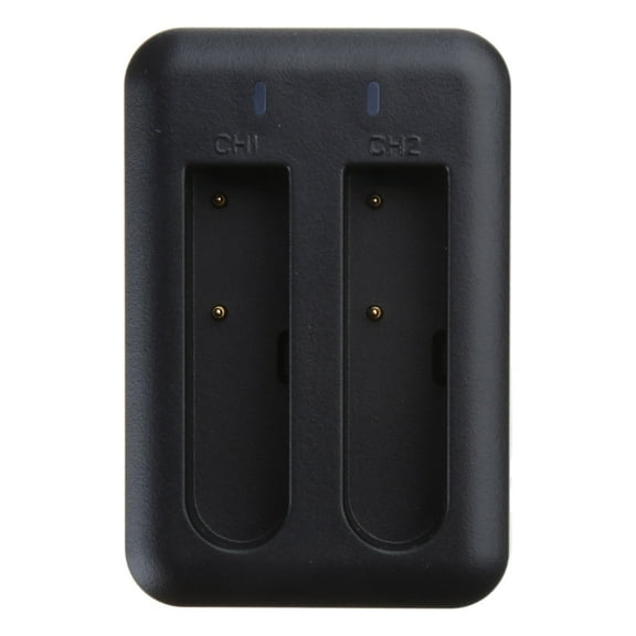 NP40 Two-Slot Lithium Battery Charger for CDR10 Battery 5V 2A 10W Micro USB