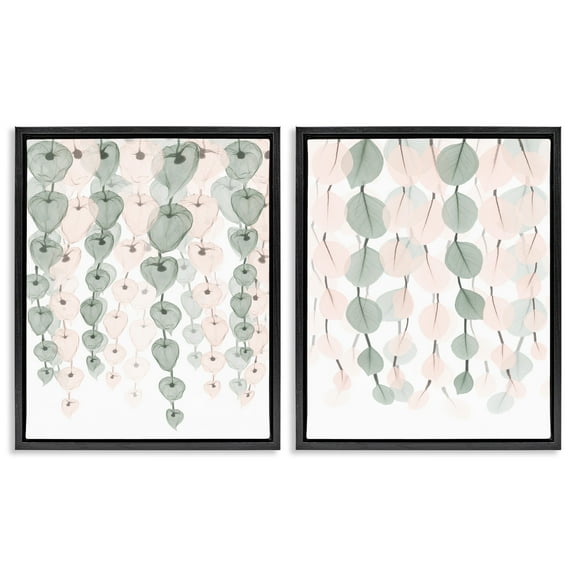 Stupell Industries Translucent Hanging Vines Foliage Botanical & Floral Photography Black Floater Framed Canvas Art Print Wall Art, 17 x 21, Set of 2