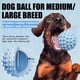 thumbnail image 4 of Juguete para Perros Apasiri Pelota Interactiva Chirriante para Mascotas que Mastican Fuerte, 4 of 6