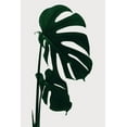thumbnail image 2 of 1x Studio III 17x24 Black Ornate Wood Framed with Double Matting Museum Art Print Titled - Monstera Natural 15, 2 of 4