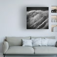 thumbnail image 2 of Canvas Wall Art - Peter Svoboda MQEP 'And What Now?' Wall Art for Living Room, Bedroom, or Office D?cor by Trademark Fine Art - 35 x 35 Inches, 2 of 4