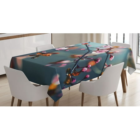 

Nature Tablecloth Japanese Blooming Cherry Tree Flowers on Branch Sakura Theme Picture Rectangular Table Cover for Dining Room Kitchen 60 X 90 Inches Light Pink Orange and Blue by Ambesonne