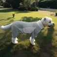 thumbnail image 5 of Dog Sun Protection Cooling Suit UPF 50+, Quick-Dry Breathable Jumpsuit for Large & Medium Dogs, Outdoor Dirt-Resistant Shedding Control Pet Apparel, 5 of 9