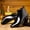 Black, variant on Men's Pointed Toe Chelsea Boots Formal Ankle Dress Boots Side Zipper Business Leather Footwear for Weddings and Office Wear