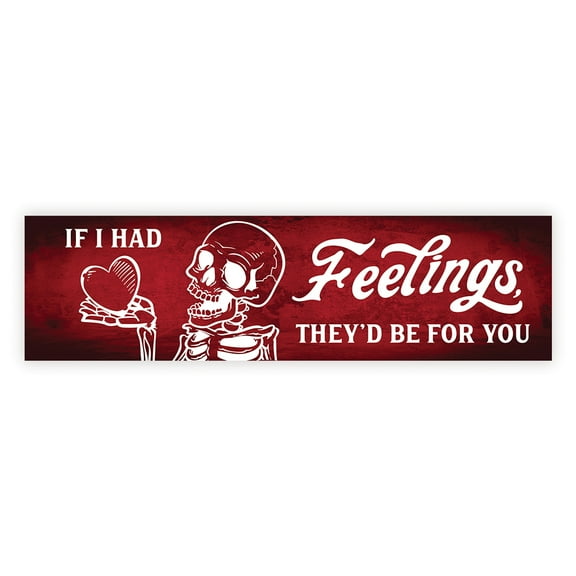 Koyal Wholesale Galentines Day Decorations Banner, If I Had Feelings | Funny & Sarcastic Anti-Valentine's Day Decor