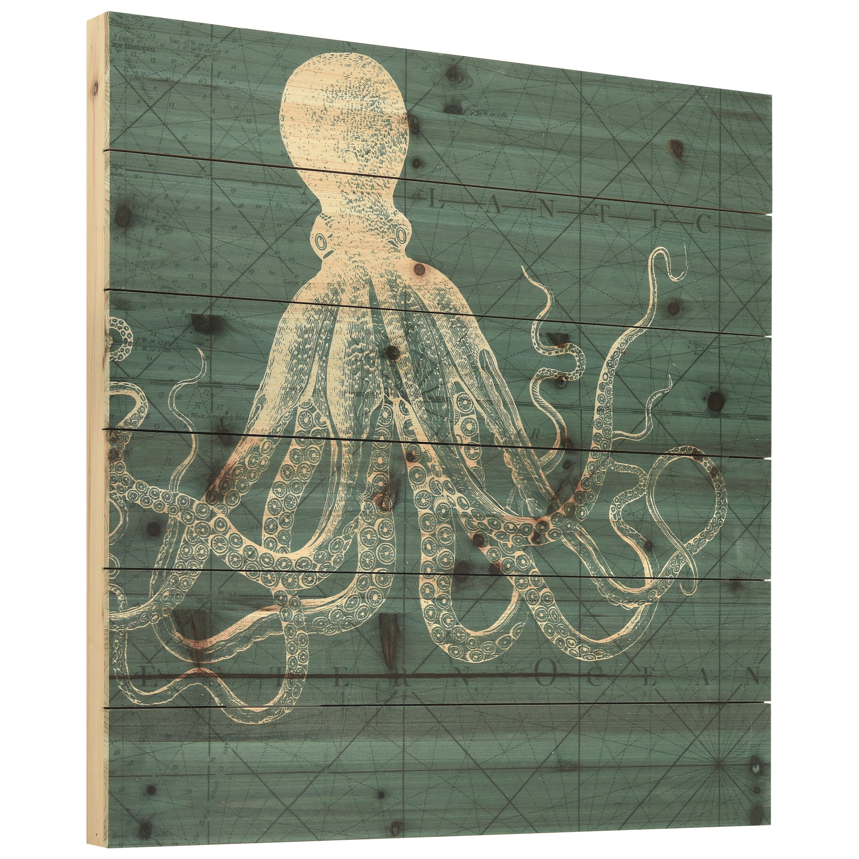 Empire Art Direct Coastal Menagerie B Print on Solid Wood Wall Art, 24" x 24", Ready to Hang