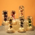 thumbnail image 1 of Flower Glass Cover Dried Flower Sesame Flower Home Desktop Decoration Led Night Light Gift, 1 of 5