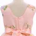 thumbnail image 3 of IDOPIP Embroidery Flower Girl Lace Tutu Dress for Kids Wedding Pageant Birthday Party First Communion Dresses Princess Bridesmaid Ball Maxi Gown 4-5 Years Pink Floral, 3 of 7