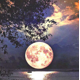 thumbnail image 1 of Taladro redondo pintura principiantes DIY Kit de arte de punto de cruz Luna cristal diamantes de imitación artesanías S8939 Kearding HA6625-03B, 1 of 6