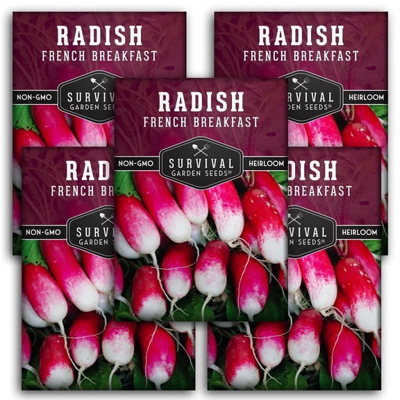 French Breakfast Radish Seeds  - Non-GMO Heirloom Full Sun Biennial Vegetable - 5 Pack