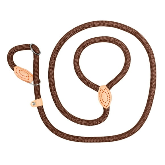TIELUTT Laisse à Chaîne P Affleurante Cousue en Nylon Laisse pour Chien en Cuir Laisse pour Chien Étendue Épaisse Laisse d'Entraînement Laisse Laisse P Corde Sarcelle Laisse pour Chien 4 Pieds Laisse de Marche Bail pour Chien Petite Laisse Rétractable Laisse pour Chien à Deux Pieds