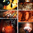thumbnail image 4 of Farm Thicken Heat Bulb 250w Infrared Red Lamp For Poultry,pig,incubation, 4 of 4
