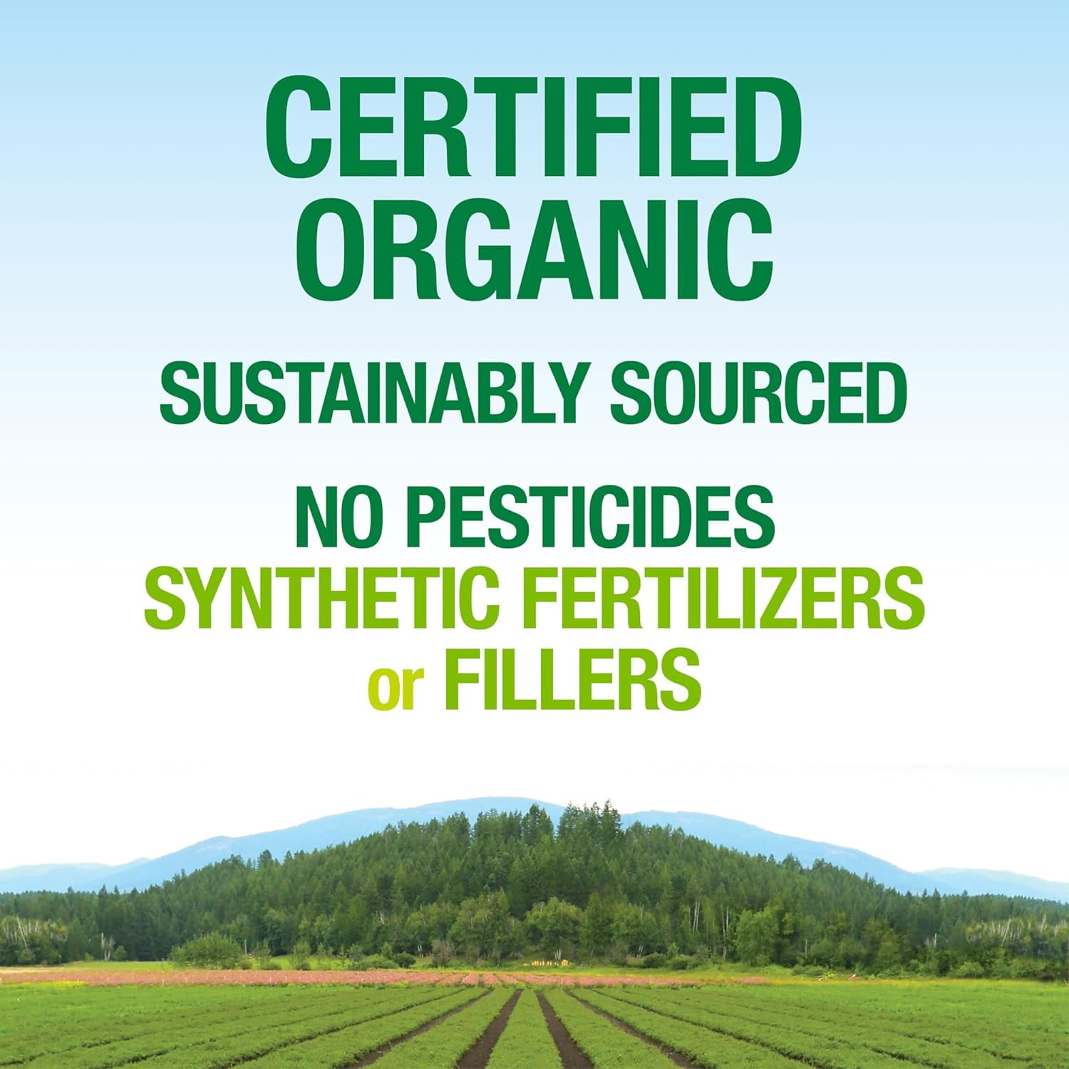Natural Factors Whole Earth & Sea, Organic Fermented Greens, Vegan Whole Food Supplement, Unflavored, 6.9 Oz