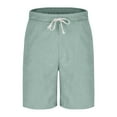 thumbnail image 2 of Mens Striped Cargo Shorts, Multi - Pockets, Light Gray, Summer Outdoor & Casual Looks, 2 of 6