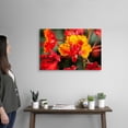 thumbnail image 2 of Great Big Canvas "Close Up Of Mexican Bird Of Paradise"  by Michael Interisano Red Black   Wrapped Canvas Print Wall Artwork, 2 of 7