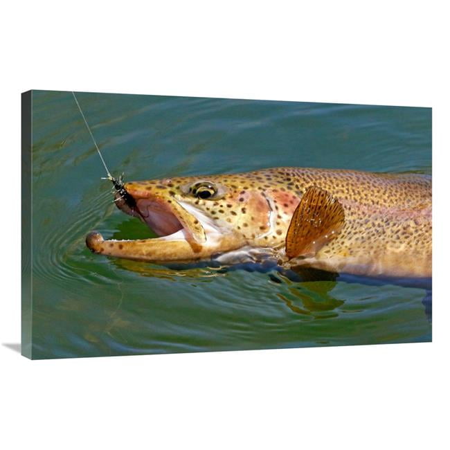 36 in. Landed Brown Trout Art Print Vic Schendel