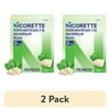 (2 pack) Nicorette Nicotine Gum, Stop Smoking Aids, 2 Mg, Mint, 170 Count