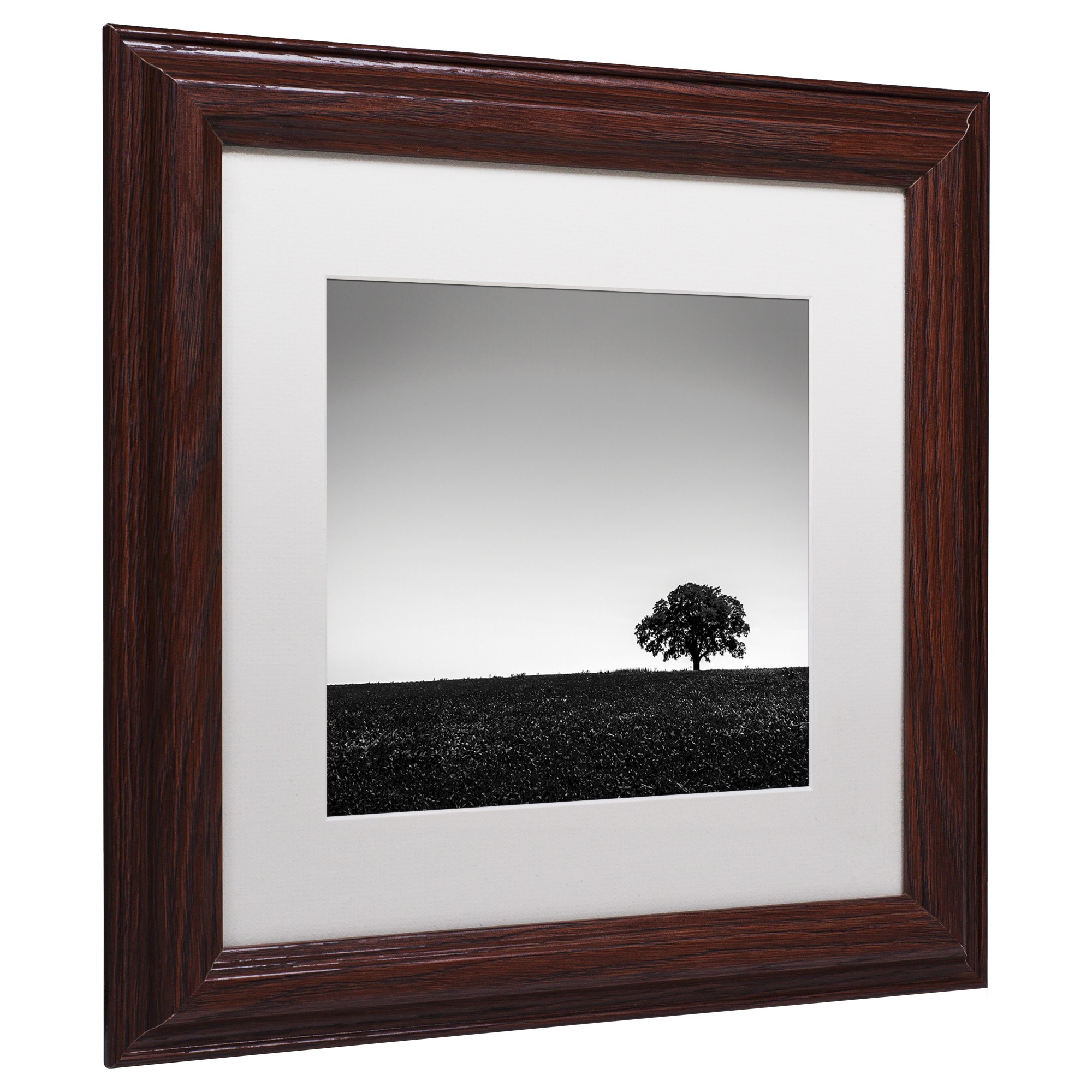 Trademark Fine Art "One Tree Hill" Canvas Art by Dave MacVicar, White Matte, Wood Frame