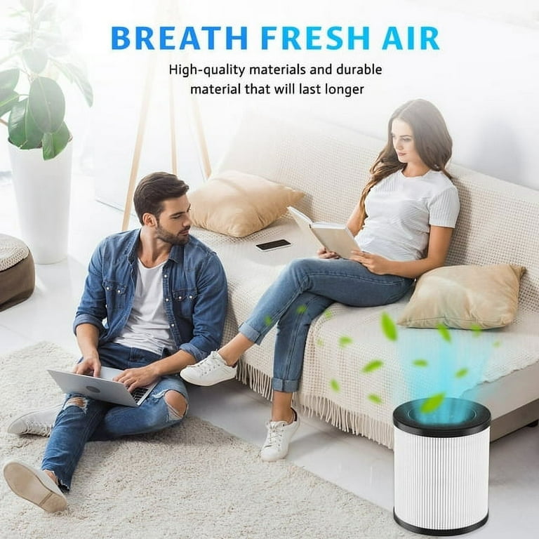 Filtro Aria Nobebird B-D02M - Combinato HEPA 13 + Carbone Attivo