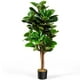 thumbnail image 1 of Árbol Ficus Lyrata Artificial Costway 1,2 m Con Macetero de Flores PP Suave Verde, 1 of 10