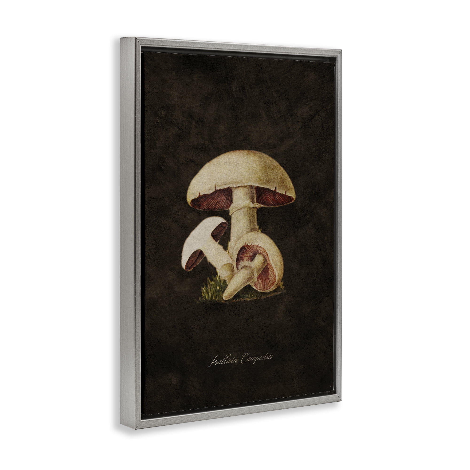 Stupell Industries Vintage Portobello Mushroom Plants & Flowers Painting Gray Floater Framed Canvas Art Print Wall Art, 17 x 25