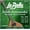 Light (11 - 42), variant on La Bella IB Irish Bouzouki 8-String Set Light (11 - 42)
