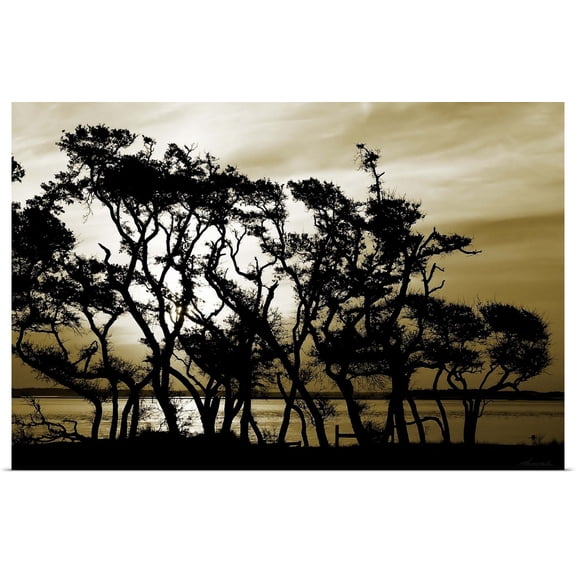 Great BIG Canvas | Rolled Alan Hausenflock Poster Print entitled Blissful Shore II