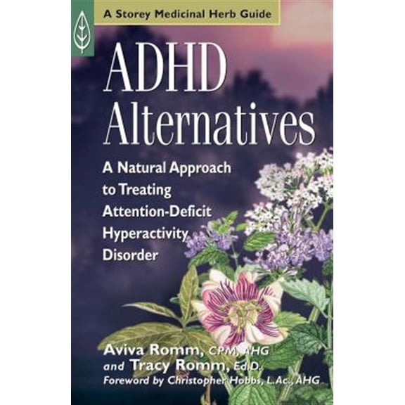 Pre-Owned ADHD Alternatives - Paperback