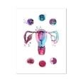 thumbnail image 1 of Arte de mujer embarazada, pintura de diamantes 5D, mosaico de diamantes, punto de cruz, Doctor, regalo de obstetricia, arte de acuarela de desarrollo de Embryo, 1 of 4