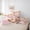 Pink T, variant on Erosebridal Monogrammed L Twin Bedding Sets for Kid, Capybara Lover Bedding Comforter Set, Pink Reversible, 7pcs