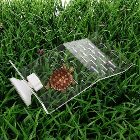 NICEXMAS Durable White Turtle Platform for Tank Use with Smooth Climbing Slope