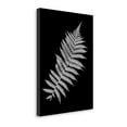thumbnail image 2 of "Floral B - W - 18" By Alan Blaustein, Fine Art Giclee Print on Gallery Wrap Canvas, Ready to Hang, 2 of 3