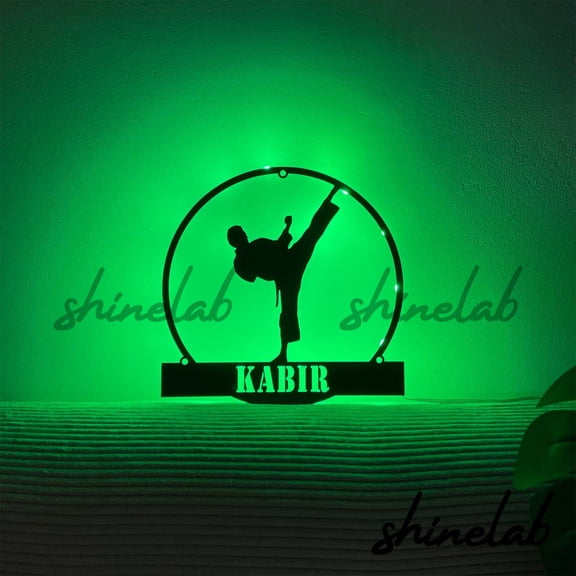 Shinelab Boy Taekwondo LED Wall Art, Custom Taekwondoin Metal Sign, Sport Home Decor 9533