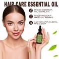 thumbnail image 4 of Aceite para el cabello Aceite para el cabello de doble rizo Aceite para el cabello multifuncional 59 ml, 4 of 5