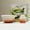 C-White, variant on Vestitly Japanese Tea Set Includes Matcha Bowl and Matcha Whisk Holder Matcha Set for Tea Fans,A-Orange,5.11*2.75+2.16*2.75 inch