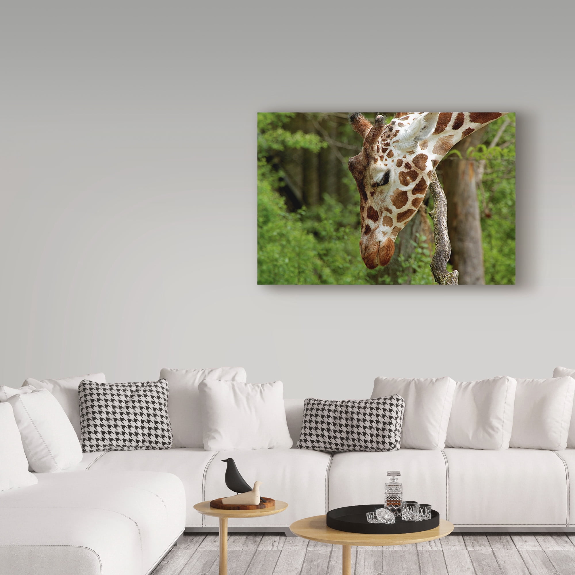 Trademark Fine Art 'Giraffe 2' Canvas Art by Galloimages Online