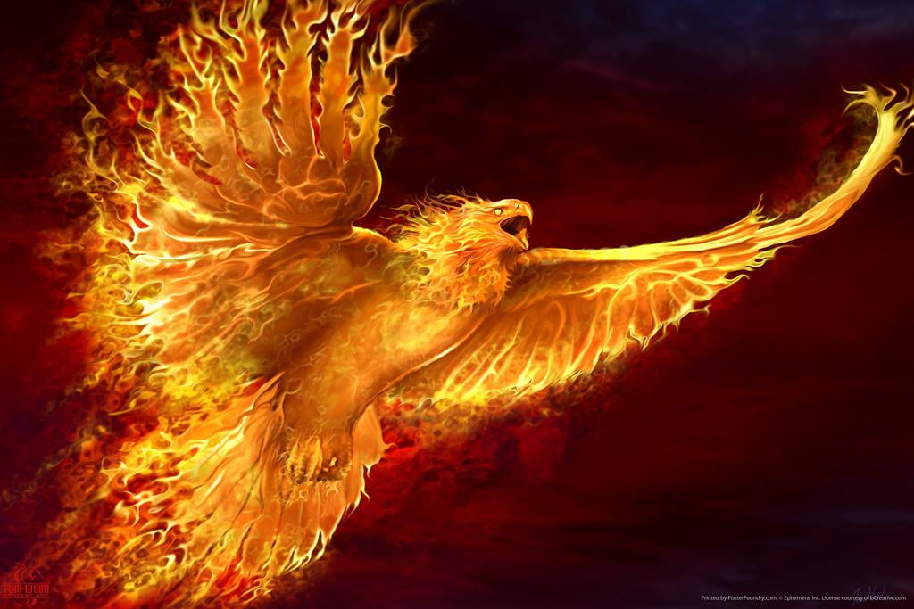 phoenix bird phoenix bird