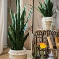 thumbnail image 2 of Summer Flower 21pcs Fake Snake Plant Leaves Set,23inch Tall Faux Sansevieria Plants Outdoor,Artificial Snake Plant Leaf,4 Sizes for Indoor Home Decor,Office,Garden,Tabletop Floor Decorations, 2 of 7