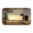 thumbnail image 3 of My Riding Stables - Life with Horses - Nintendo Switch, 3 of 3