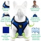 thumbnail image 4 of Arnés para perro EcoBark XL de malla reflectante antitirones, 4 of 9