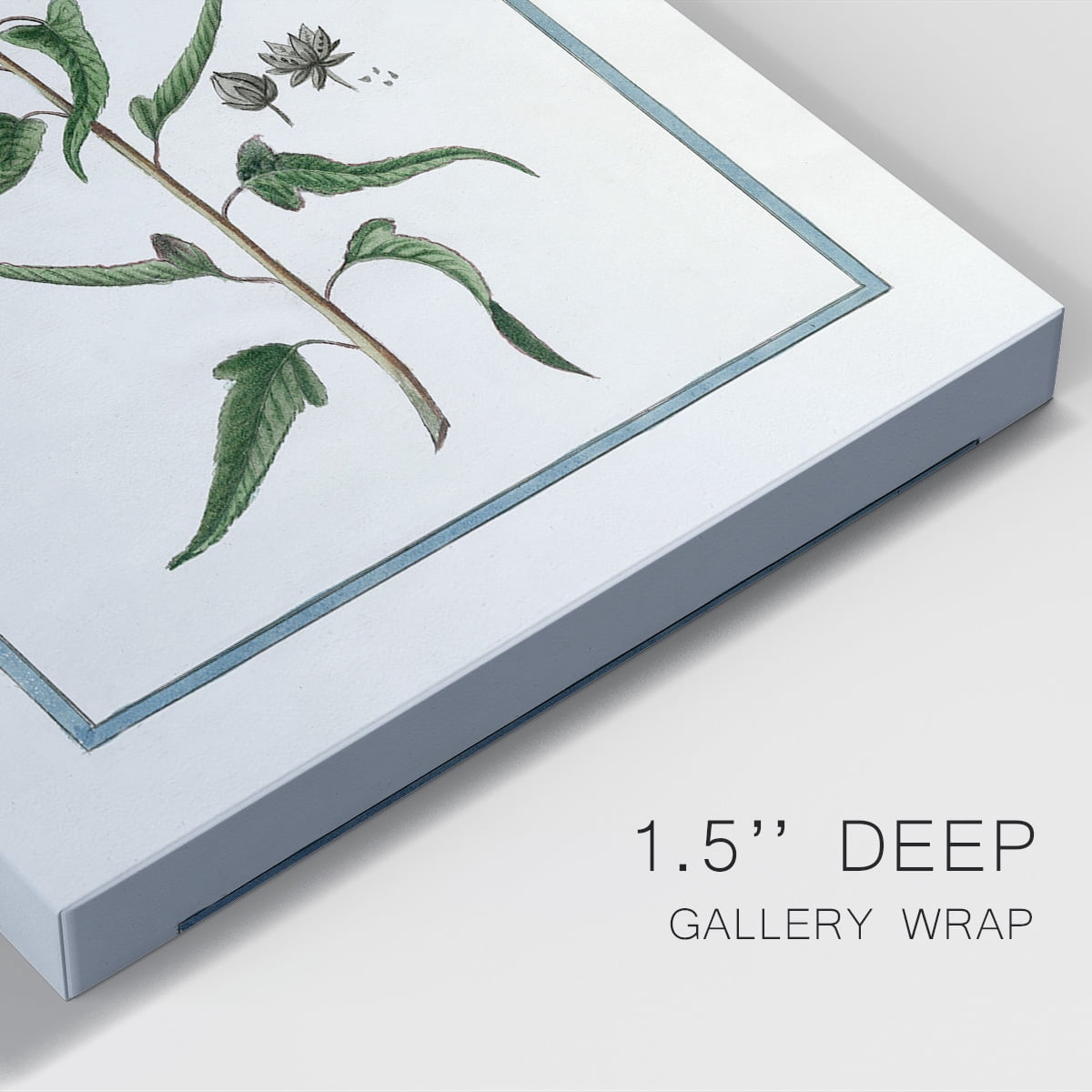 Shabby Chic Botanical I Premium Gallery Wrapped Canvas - Ready to Hang
