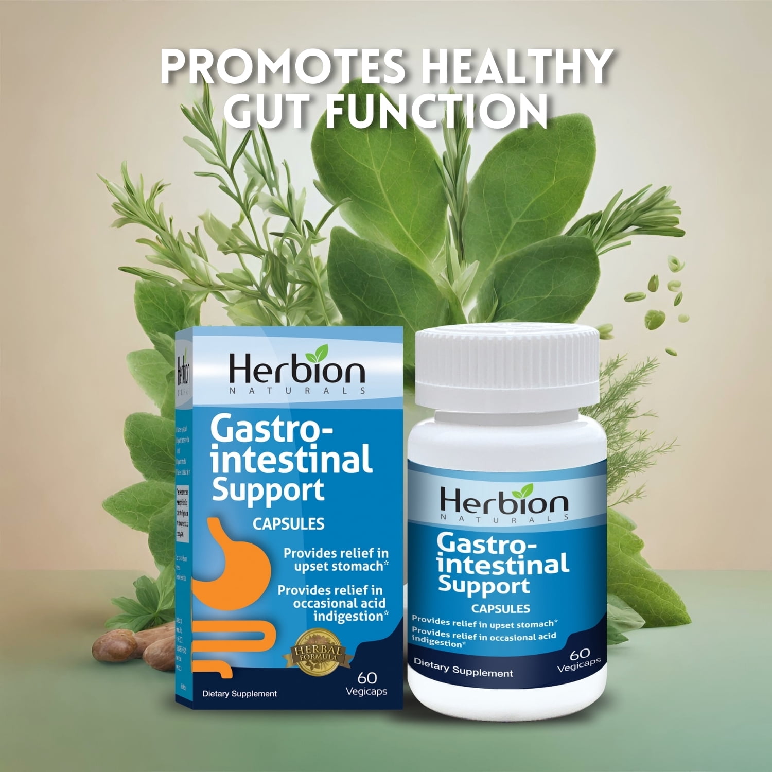 Herbion Naturals Gastro-intestinal Support Herbal Blend for Upset Stomach Relief, Gastrointestinal Health and Function, Occasional Acid Indigestion, Healthy Intestinal Flora, 60 Vegicaps