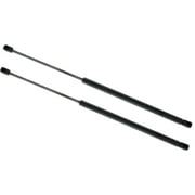 Set of 2 Compatible with Toyota Camry 2018 to 2023 Hood Lift New for Car Gas Shock Strut - Lift Supports Depot PM3829-a