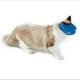 thumbnail image 2 of ajustable anti- para de poliéster para aseo en / , L L Salvador Bozal de gato, 2 of 10
