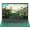 Green, variant on Rumtuk 16" Rose Gold Laptop, DDR4 16GB RAM, 1TB SSD, Win 11 Pro/Office 2019, Celeron N5105 CPU, FHD IPS Display, Backlit KB, Fingerprint, USB 3.0, HDMI, WiFi/BT, PC Notebook for Work, Study