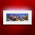 thumbnail image 1 of Aussie Aquariums 2.0 Aquarium Mural - Skyline - Blanc Mat, 1 of 2