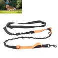 thumbnail image 1 of Laisse pour Chien Rétractable Automatique Durable Rotation Libre à 360 Degrés Confort Anti-Explosion Laisse pour Chien Rétractable 360 Ruban en Nylon Solide, 1 of 8