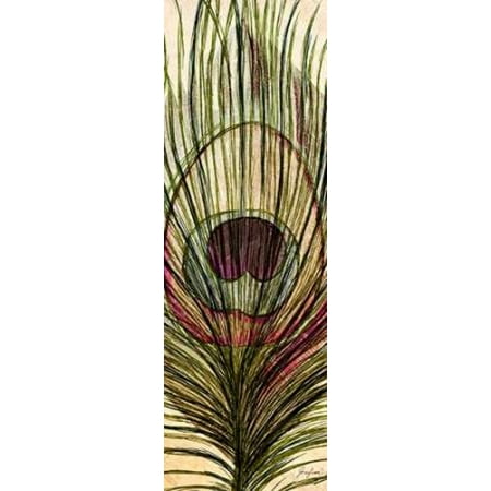 Peacock Feather I Canvas Art - Josefina (12 x 36)