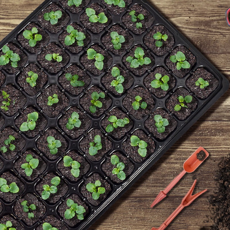 CHUNYAN 10 pieces Seed Starter Tray, 72 Cell Seedling Trays With Drain Holes, Reusable Seed Starter Kit, Mini Propagator Plant