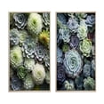 thumbnail image 2 of Designart "Green Succulents Flowers peaceful Succulents II" Succulent Framed Wall Art Set Of 2 - Green Floral Framed Canvas Set For Living Room Decor, 2 of 7